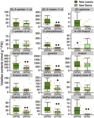 Tissue-Dependent Variation Profiles of Tea Quality-Related Metabolites in New Shoots of Tea Accessions